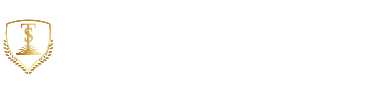 SETIANTO & CO